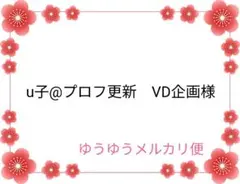 u子@プロフ更新　VD企画様 リクエスト 5点 まとめ商品