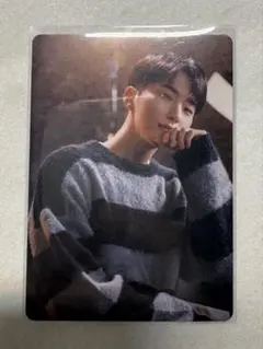 SEVENTEEN POWER OF LOVE ホシ 特典 トレカ