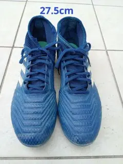 Item thumbnail for item 53613162-b640-41a6-baca-0a039331070d