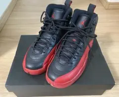 Nike air Jordan 12 retro