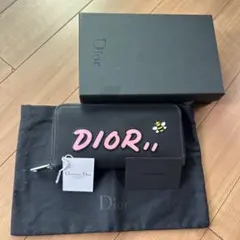Christian Dior ×KAWSのサムネイル