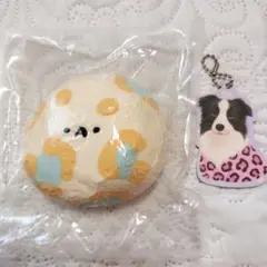 dongdong どんどん スクイーズ　ハムスター