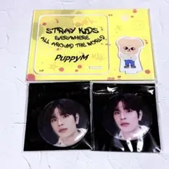 straykids victory cafe スンミンセット