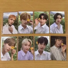 Strayk Kids NOEASY 限定版特典 フォトカードセット