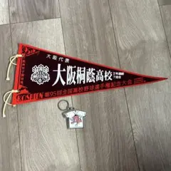東邦高校 95回選抜高校野球記念パーカー　2XL 東邦高校 95回選抜高校野球記念パーカー 2XL