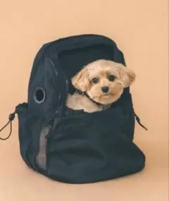 値下げMINIME ペット用 キャリーバッグ 保存袋付き ブラック Sサイズ