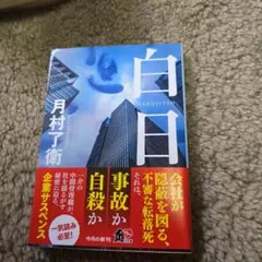 白日