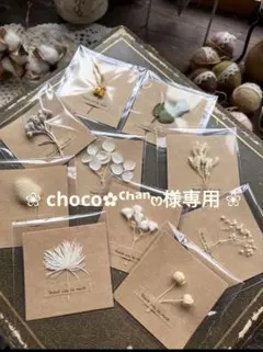 ❀ choco✿ᒼᑋªⁿෆ‪様専用 ❀