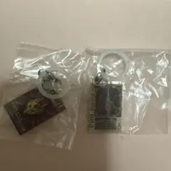 仮面ライダーめじるしアクセサリー2