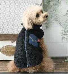 Item thumbnail for item 7bcd8bb6-5f21-4d03-9edd-9ee5cd60f0cc