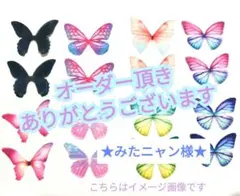 【みたニャン様専用】シフォン蝶々　３センチ＆4センチ