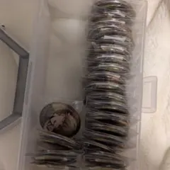 シクフォニ みこと 2024年 バースデー 缶バッジ