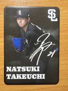 期間限定値下げ　西武ライオンズ 武内夏暉 直筆サイン入りユニフォーム Mサイズ 武内夏暉サイン 直筆サイン 武内夏暉 埼玉西武ライオンズ レプリカ