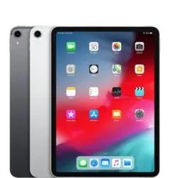 Apple iPad Pro 第1世代 11インチ 本体