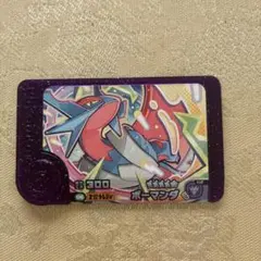 【ほぼ未使用】ボーマンダ　ポケモン　フレンダ