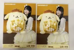 早い者勝ち！】≒JOY 生写真 ポムポムプリン コラボ 山田杏佳 3枚
