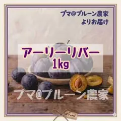 129 長野県産プルーン【アーリーリバー】 プマ@プルーン農家よりお届けのサムネイル