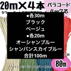 Item thumbnail for item 19f0d077-7bf9-47a6-b677-53b22df5fab5