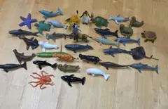 海洋生物フィギュア