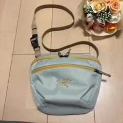 最終お値下げ10/7までの出品　アークテリクス Mantis 2 マンティス2