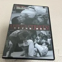 Item thumbnail for item 08f93aeb-a5c6-4a06-ad7e-bf46287d3dfd