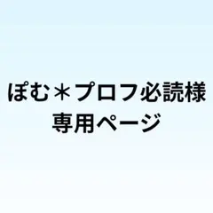 ぽむ＊プロフ必読様専用 オーダーページ