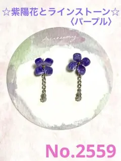 ハンドメイド　〈ピアス/イヤリング/チャーム〉　No.2559