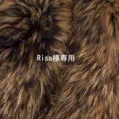 Item thumbnail for item 5a5e52ec-684a-4df3-bd9b-b55b44aa1181