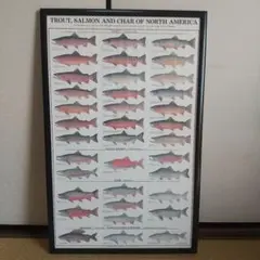 Item thumbnail for item 1f4d8a35-ccf1-4654-9535-3270ec2c64e9