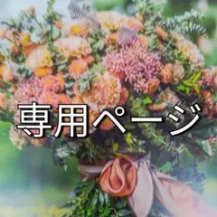 ※特別価格リサージスキンメインテナイザーEXM3レフィル　2点のサムネイル
