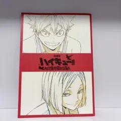 劇場版 ハイキュー!! ゴミ捨て場の決戦