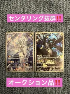 NのレシラムAR‼️NのゼクロムAR‼️セット売り‼️2枚‼️本日限定出品‼️オークション