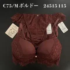 ボルドー　C75/M ナルエー　ブラショーツセット 24515 115のサムネイル