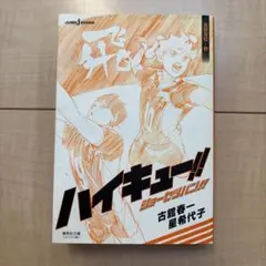 ハイキュー!! ショーセツバン!! 烏野高校・春