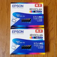 エプソン純正インク ￼IB10CL4A 2個セット - メルカリ