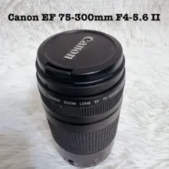 Item thumbnail for item 48d2d59d-be06-4fa5-a0d1-1a3262c18ba5