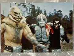 仮面ライダーカード　No.165 コレクション