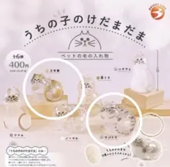 正規品　ブライトリンク　うちの子のけだまだま　カプセルトイ　三毛猫　サバトラ