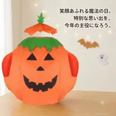 ハロウィン コスプレ 仮装 かぼちゃ 大人用 メンズ レディース