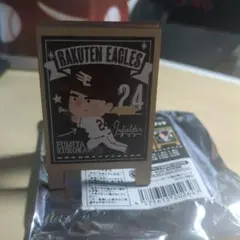 楽天イーグルス 黒川史陽 クリップ