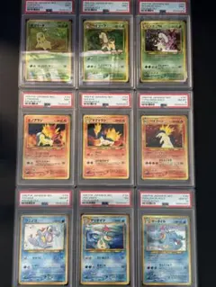 オーダイル デンリュウ 旧裏 psa8 - メルカリ