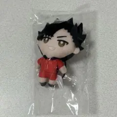 黒尾鉄朗 かぷっこふれんず