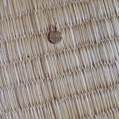 ジュエリーのイヤリングのサムネイル