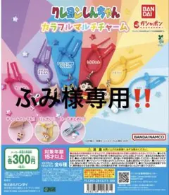ふみ様専用 しんちゃん