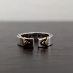 Item thumbnail for item 10c6d5e2-1821-4496-a164-4869ca3669e5