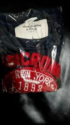 激安。美品！Abercrombie & Fitch ネイビー Tシャツ Lサイズ