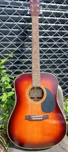 Pro Martin プロマーティン EA350BS エレアコ ビンテージ - メルカリ