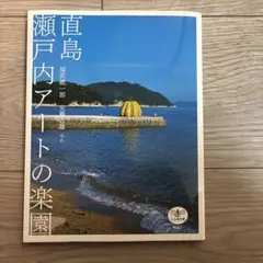 プロフ必読さん専用完売_瀬戸芸パス＆公式本セット_迷わずこのセット