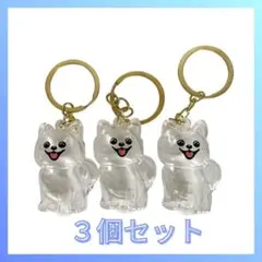 【値下げ 】3点セット ポメラニアン 毛玉入れ キーホルダー けだまだま 毛玉入