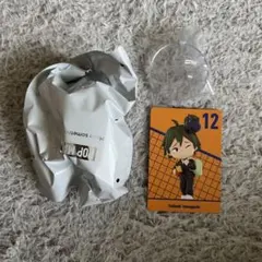 ハイキュー　POPMART 山口